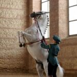 Córdoba, Cuna del Caballo Andaluz: La Historia del Pura Raza Española que Nació en las Caballerizas Reales