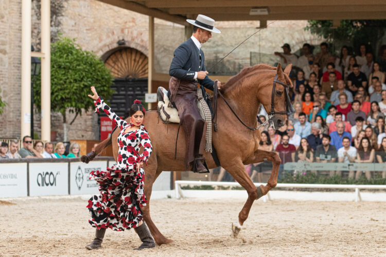 El Arte de la Doma Cordobesa: El Diálogo Silencioso entre el Jinete y el Caballo Andaluz