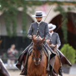 Córdoba, Cuna del Caballo Andaluz: La Historia del Pura Raza Española que Nació en las Caballerizas Reales