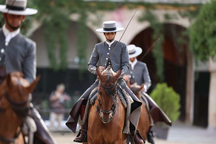 El Arte de la Doma Cordobesa: El Diálogo Silencioso entre el Jinete y el Caballo Andaluz