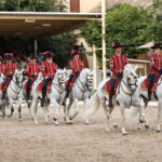 Córdoba, Cuna del Caballo Andaluz: La Historia del Pura Raza Española que Nació en las Caballerizas Reales