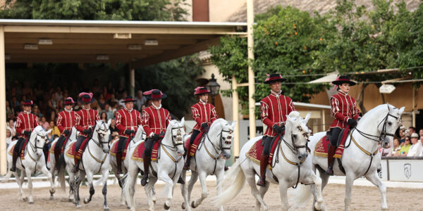 Córdoba, Cuna del Caballo Andaluz: La Historia del Pura Raza Española que Nació en las Caballerizas Reales