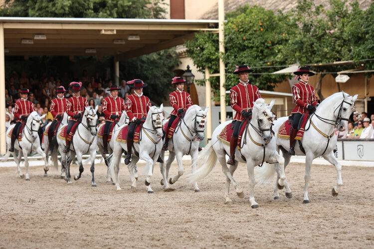 El Arte de la Doma Cordobesa: El Diálogo Silencioso entre el Jinete y el Caballo Andaluz
