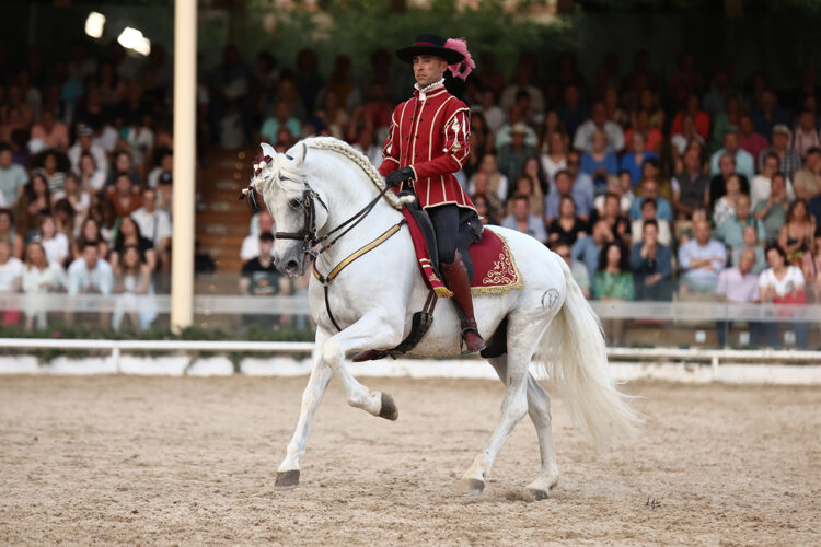 El Arte de la Doma Cordobesa: El Diálogo Silencioso entre el Jinete y el Caballo Andaluz