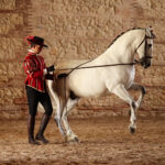 El Arte de la Doma Cordobesa: El Diálogo Silencioso entre el Jinete y el Caballo Andaluz
