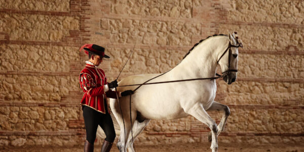 El Arte de la Doma Cordobesa: El Diálogo Silencioso entre el Jinete y el Caballo Andaluz