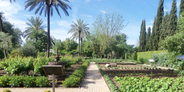 Real Jardín Botánico de Córdoba