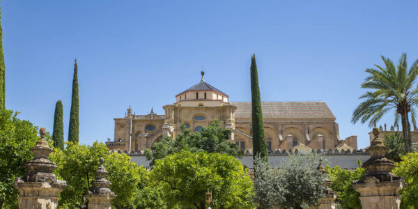 Patio de los Naranjos