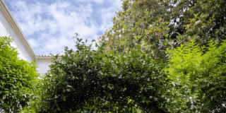 Subdelegaci&oacute;n de Defensa (Gobierno Militar)