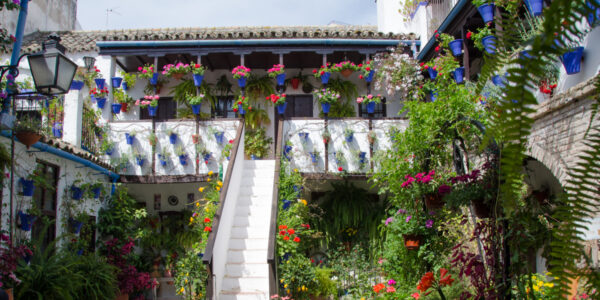 Patio de San Basilio 44