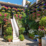 Visita Guiada Patios de C&oacute;rdoba