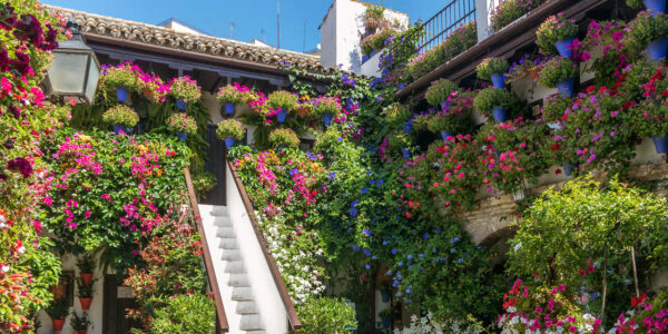 Patios de San Basilio
