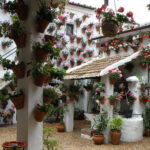 Los Patios de Córdoba: Un Tesoro Histórico y Turístico