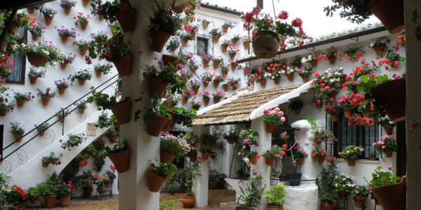Los Patios de Córdoba: Un Tesoro Histórico y Turístico