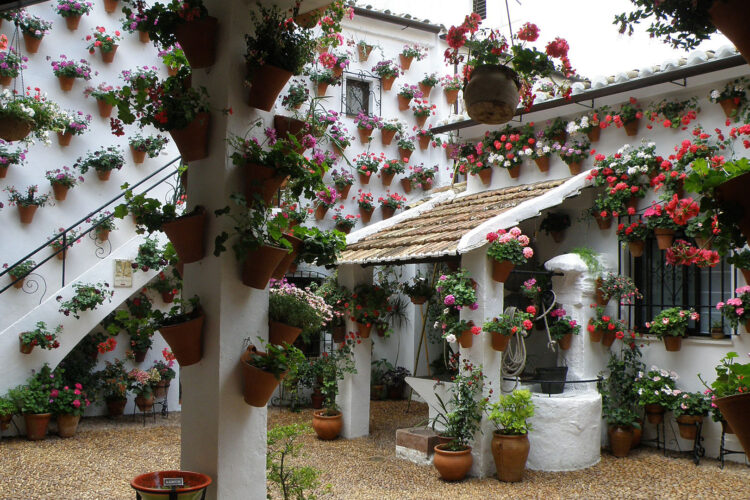 Los Patios de Córdoba: Un Tesoro Histórico y Turístico