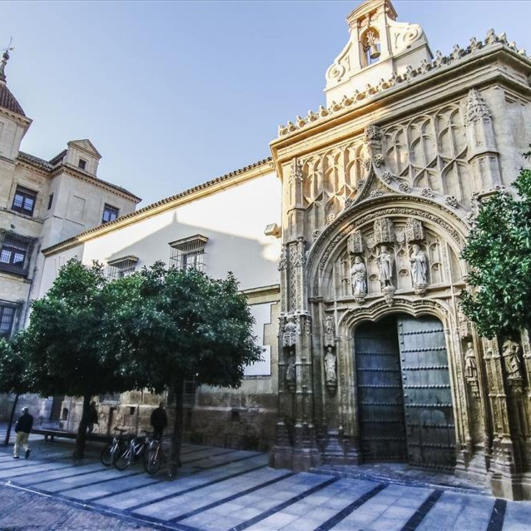 palacio-de-congresos-de-cordobaantiguo-hospital-de-san-sebastian_2fc5a273_984x656-r74de8hbskt07mal57re36e5xywd6hqr75jz035dtc