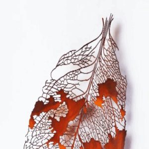 Desmadejada