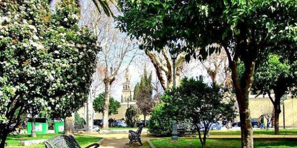 Campo de los Santos M&aacute;rtires