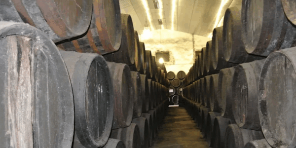 El renacer de los vinos de C&oacute;rdoba: 12 PB y la hist&oacute;rica Bodega G&oacute;mez Nevado